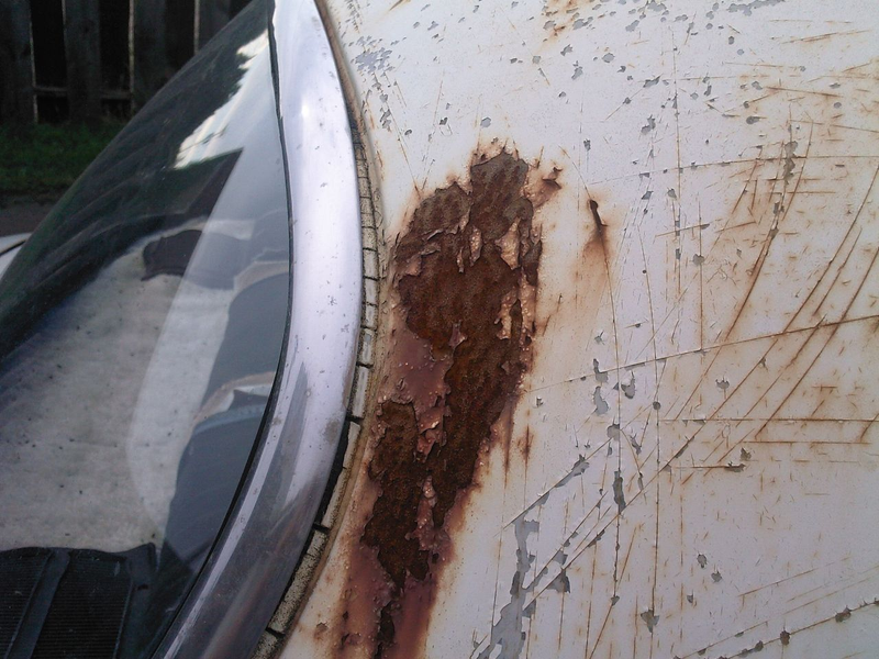 Illustration for article titled Wisconsin Rust Trip